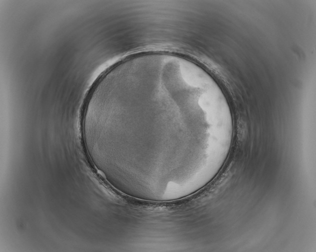 X0000113051230200909241448