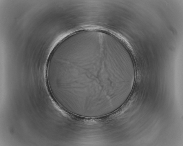 X0000113051231200909241448