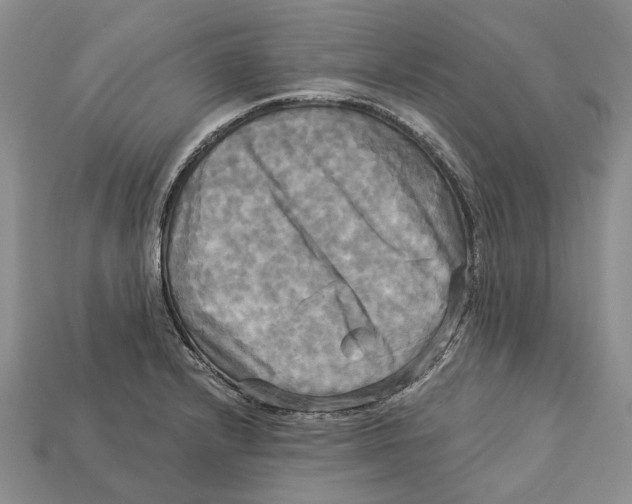 X0000113051232200909241448