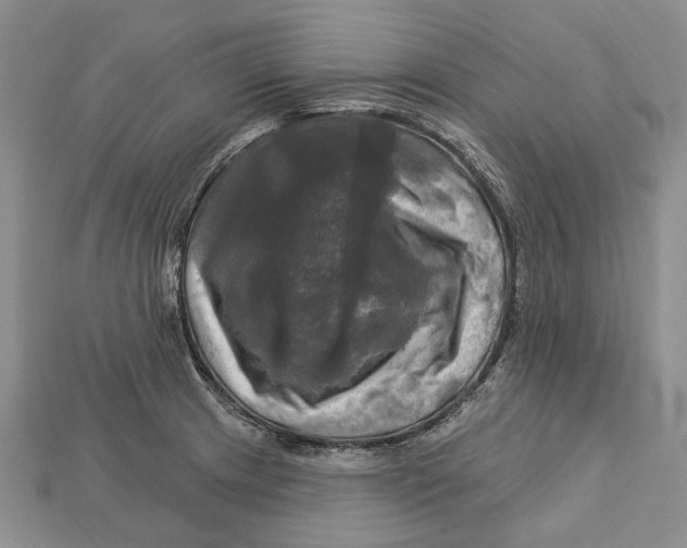 X0000113051233200909241448