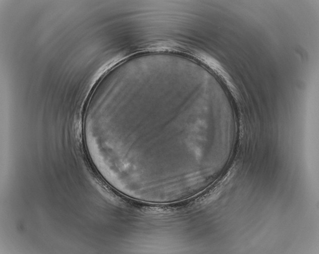 X0000113051234200909241448