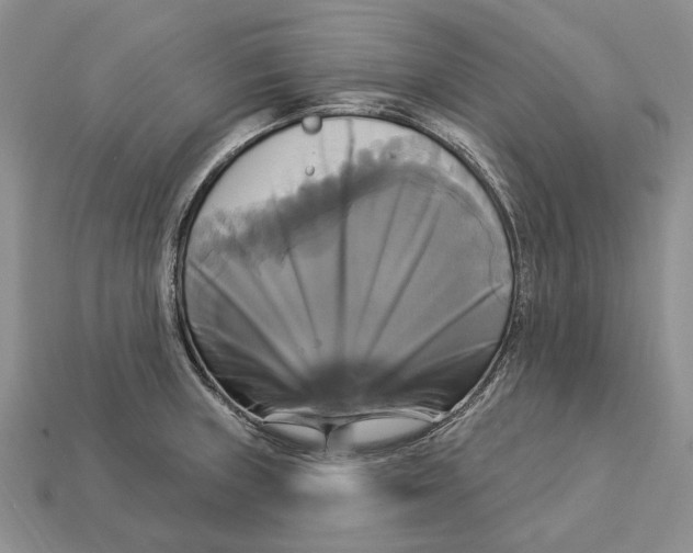 X0000113051235200909241448