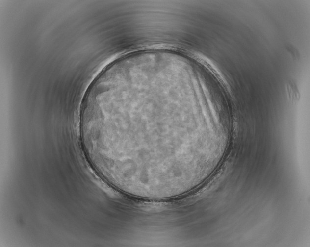X0000113051236200909241448