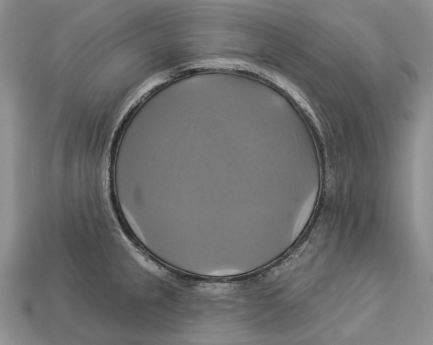 X0000113051237200909241448