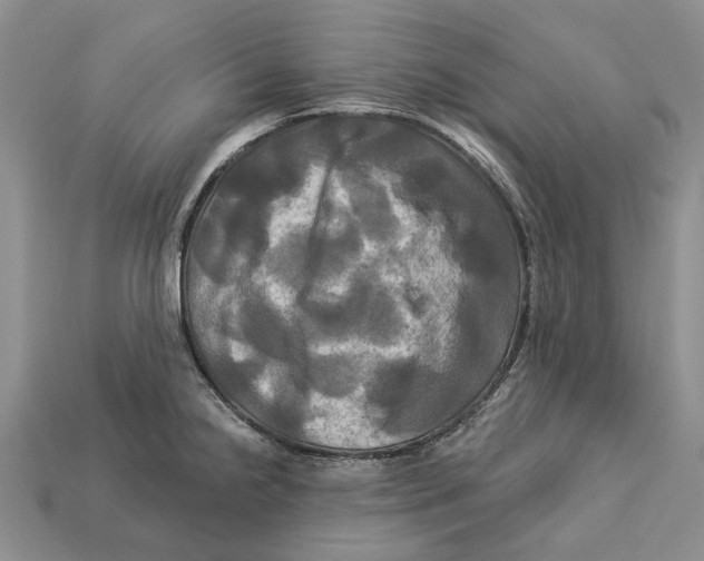 X0000113051238200909241448