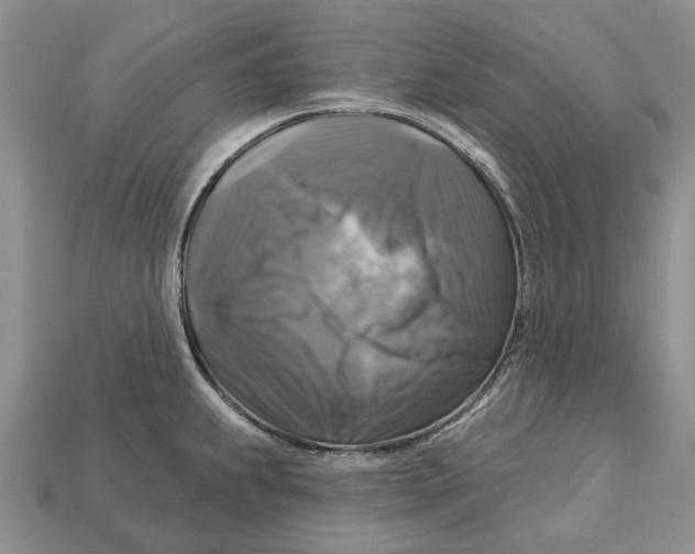 X0000113051239200909241448