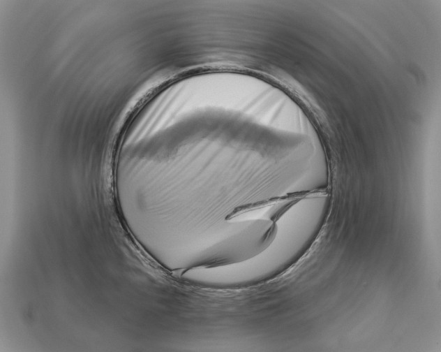 X0000113051240200909241448