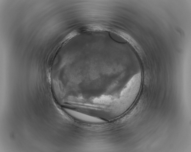 X0000113051241200909241448