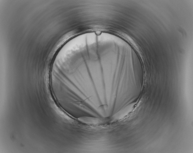 X0000113051243200909241448