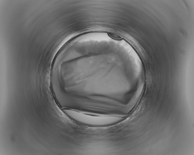 X0000113051244200909241448