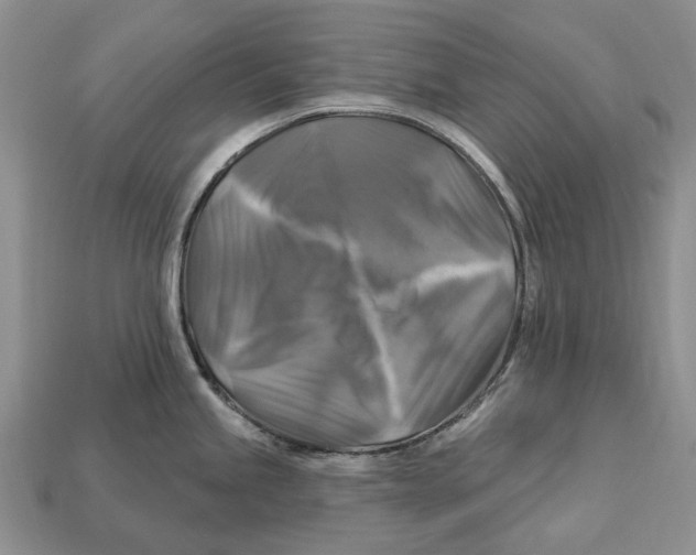 X0000113051245200909241448