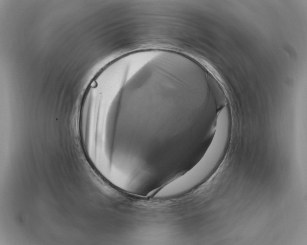 X0000113051246200909241448