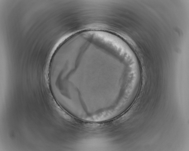 X0000113051248200909241448
