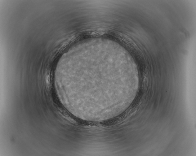 X0000113051250200909241448