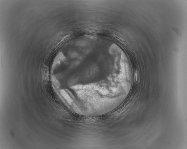 X0000113051251200909241448