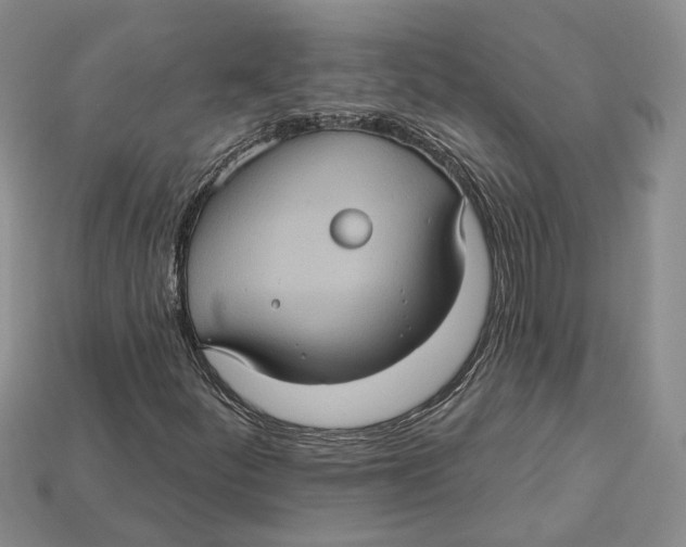 X0000113051252200909241448