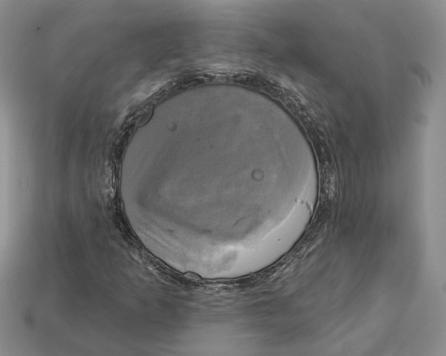 X0000113051253200909241448