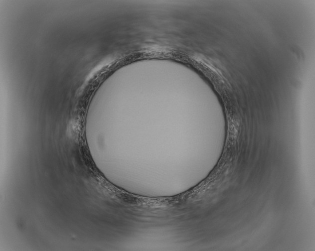 X0000113051254200909241448