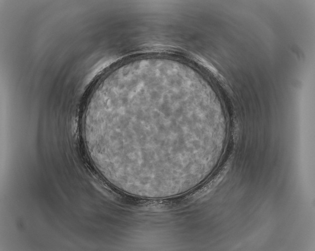 X0000113051259200909241448