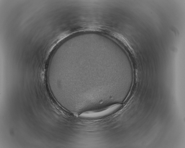X0000113051260200909241448