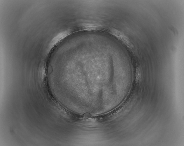X0000113051261200909241448