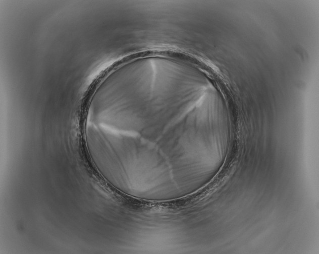 X0000113051263200909241448