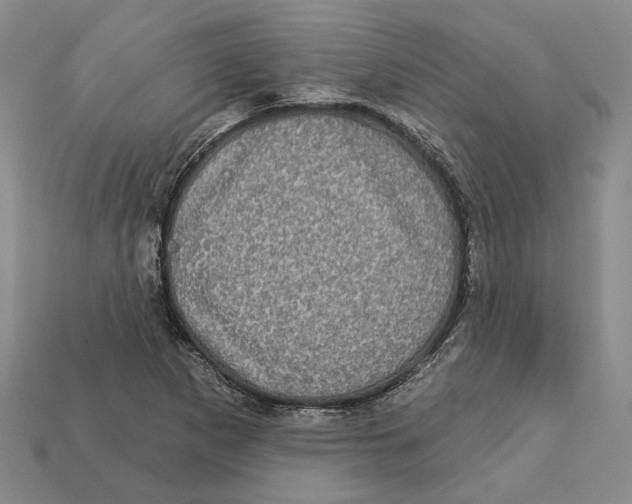 X0000113051265200909241448