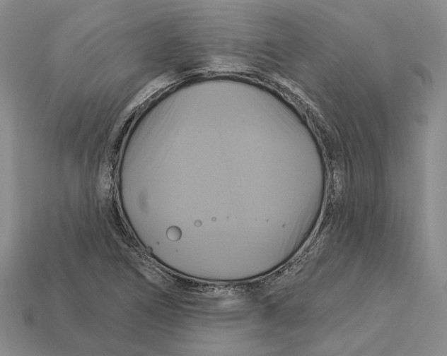 X0000113051266200909241448