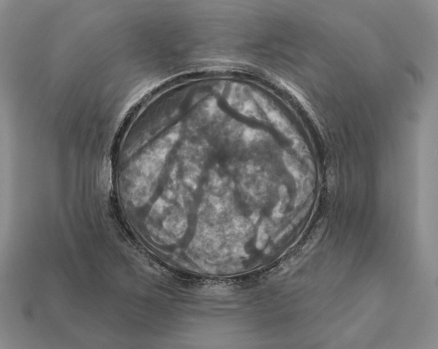 X0000113051267200909241448