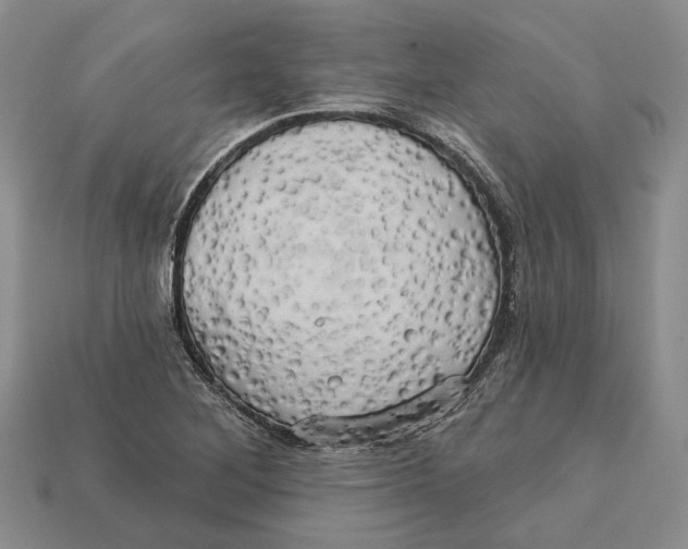 X0000113051268200909241448