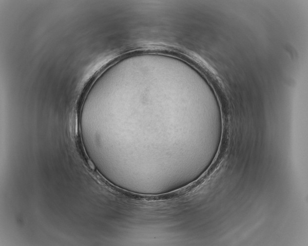 X0000113051269200909241448