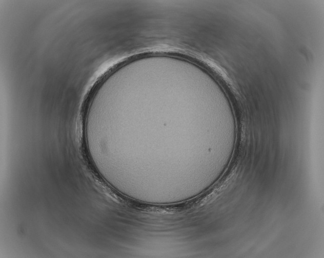 X0000113051270200909241448