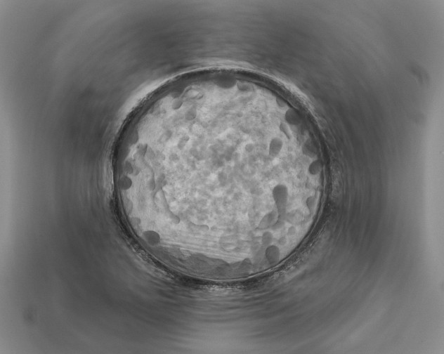 X0000113051271200909241448