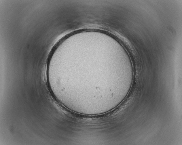 X0000113051272200909241448