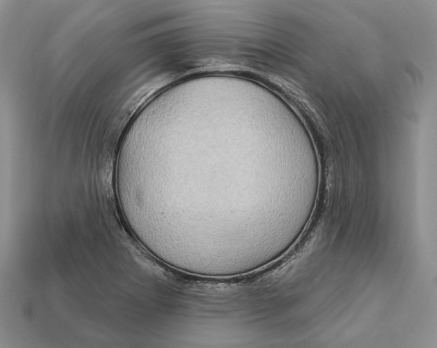 X0000113051273200909241448