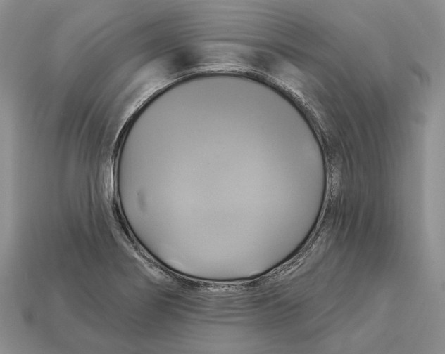 X0000113051274200909241447