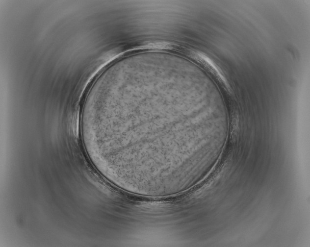 X0000113051276200909241447
