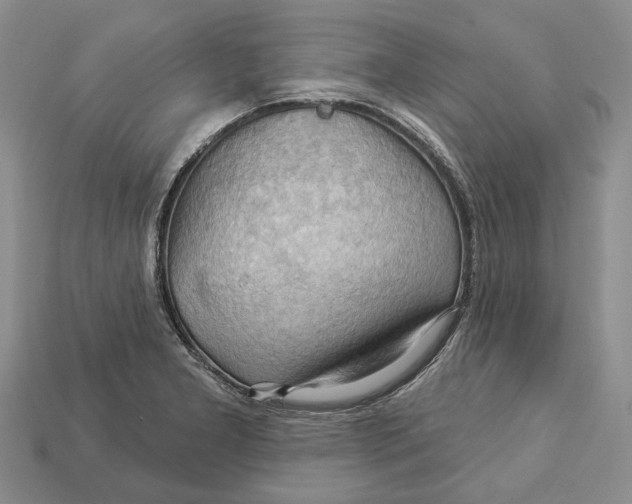 X0000113051277200909241447