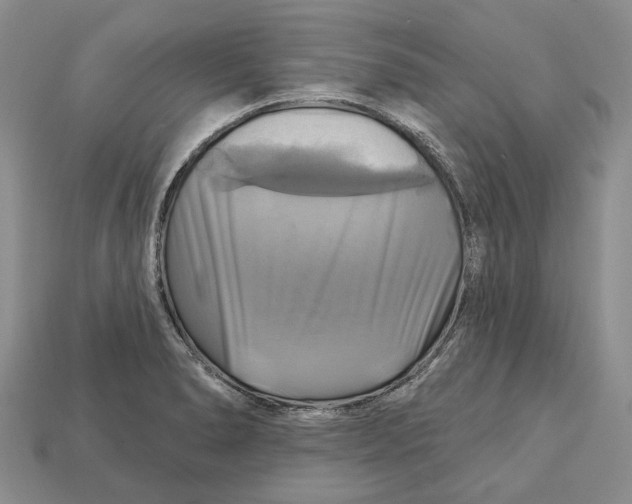 X0000113051278200909241447