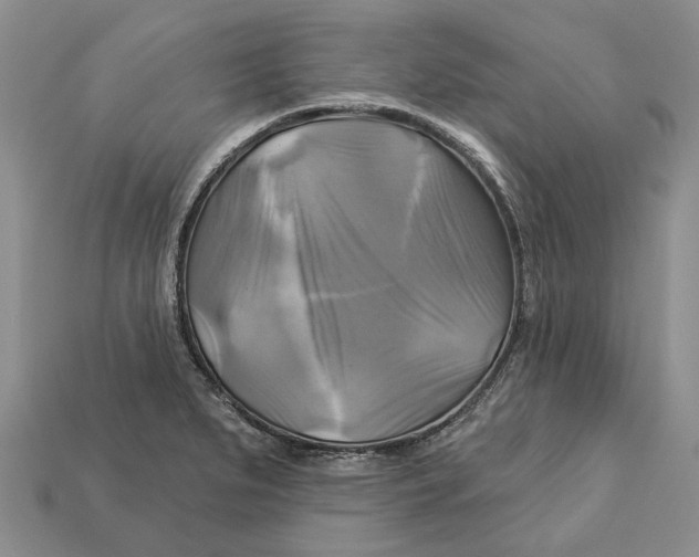 X0000113051279200909241447