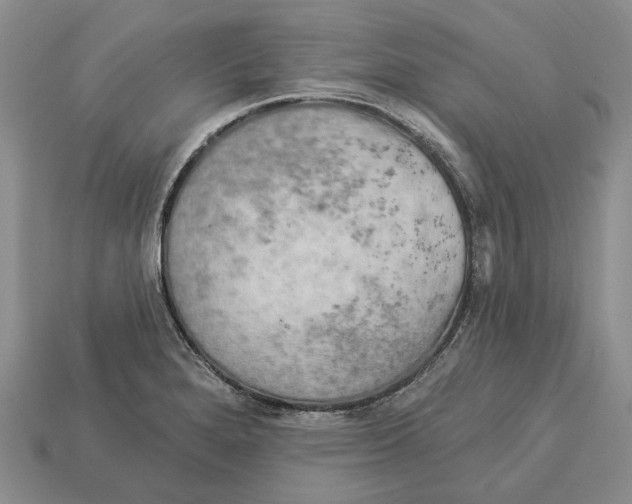 X0000113051280200909241447