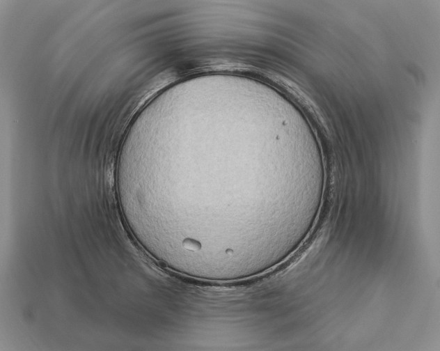 X0000113051281200909241447