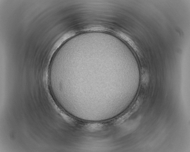 X0000113051282200909241447