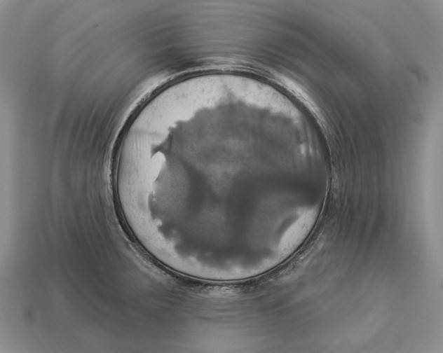 X0000113051283200909241447