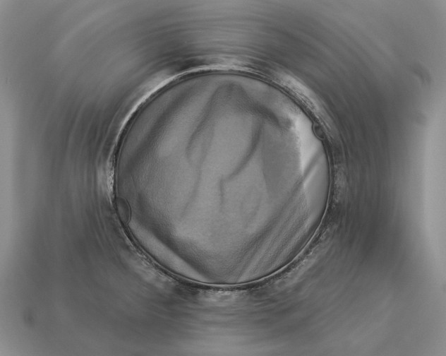 X0000113051284200909241447