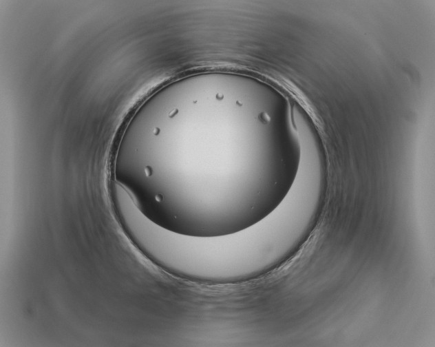 X0000113051285200909241447