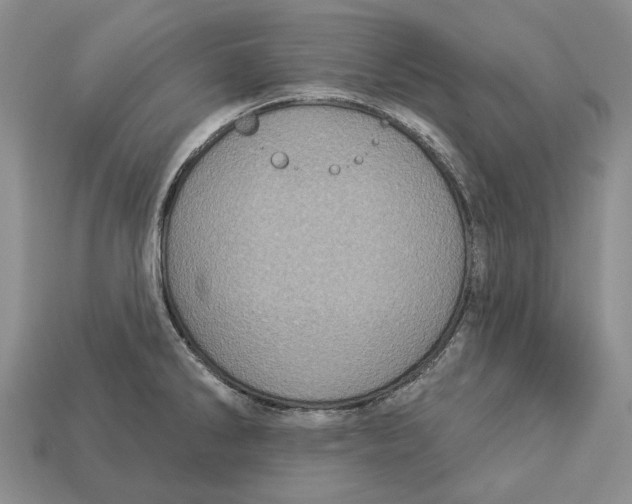 X0000113051286200909241447