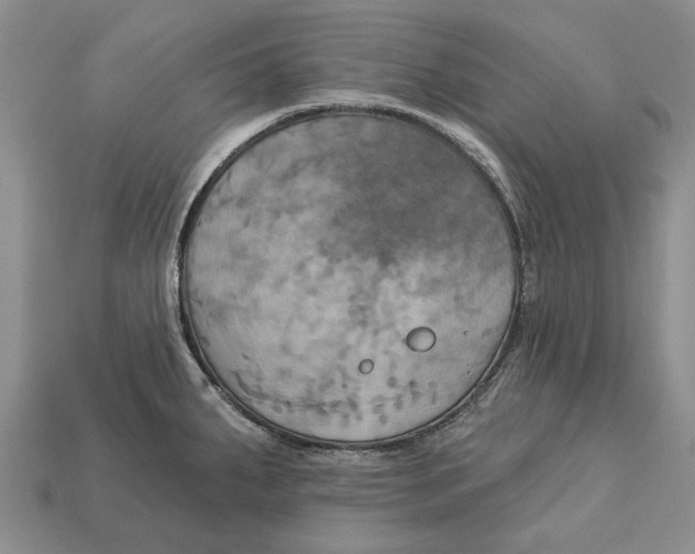 X0000113051287200909241447