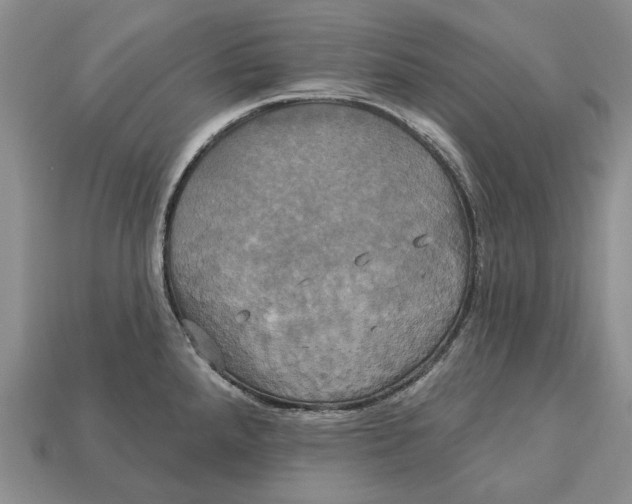 X0000113051288200909241447