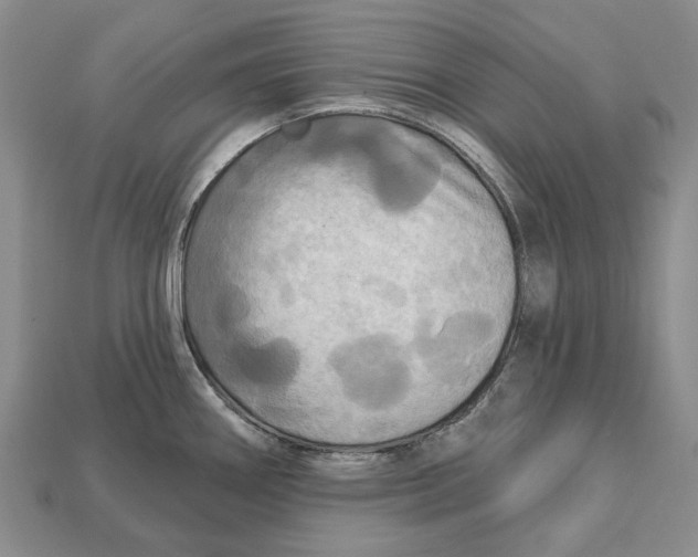 X0000113051290200909241447
